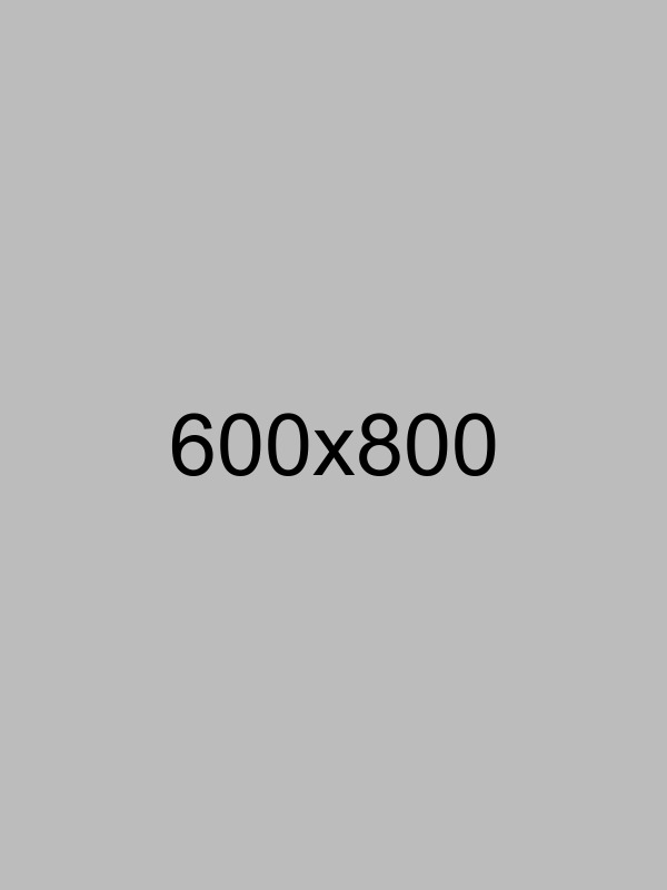 Internet Marketing